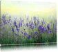 Schöner Lavendel im Regen Leinwandbild