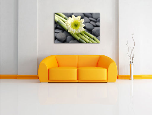 Kleine Blüte auf Bambus Leinwandbild über Sofa