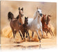 Western Pferde mit Fohlen Leinwandbild