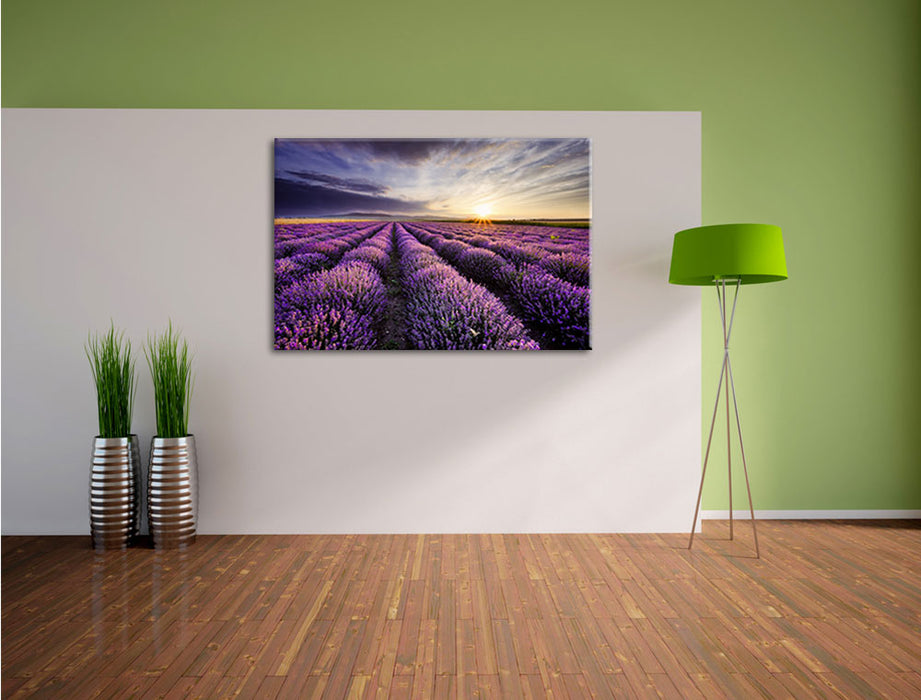 Lavendel Provence Landschaft Leinwandbild im Flur