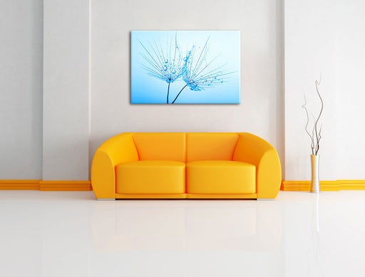 Pusteblumen mit Tautropfen Leinwandbild über Sofa