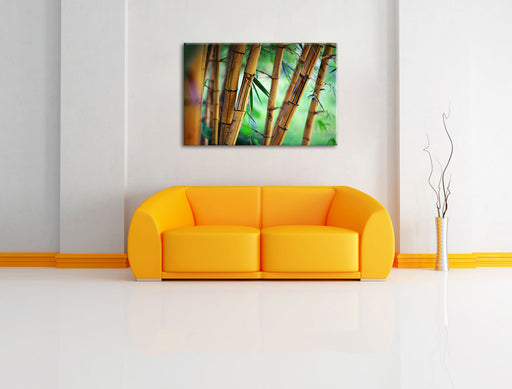 Alter Bambus Wald Leinwandbild über Sofa