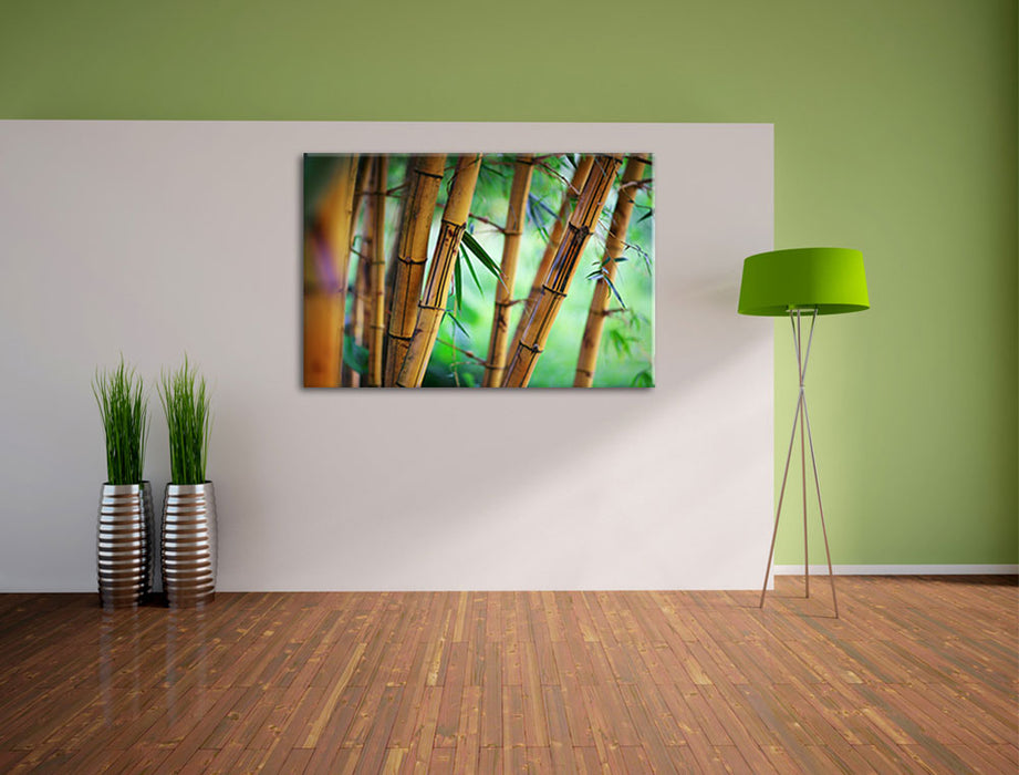 Alter Bambus Wald Leinwandbild im Flur