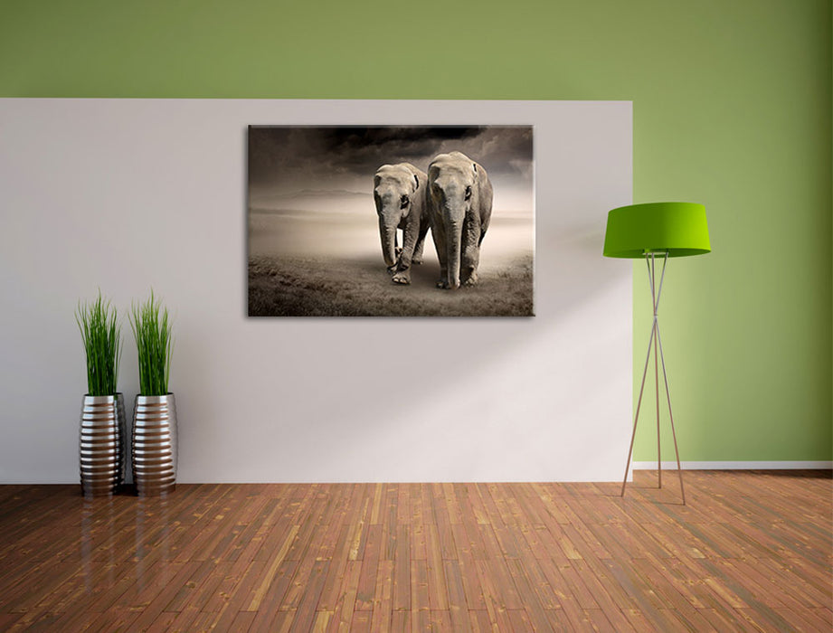 Zwei Elefanten in Steppe Leinwandbild im Flur