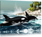 Orcas vor Insel Leinwandbild