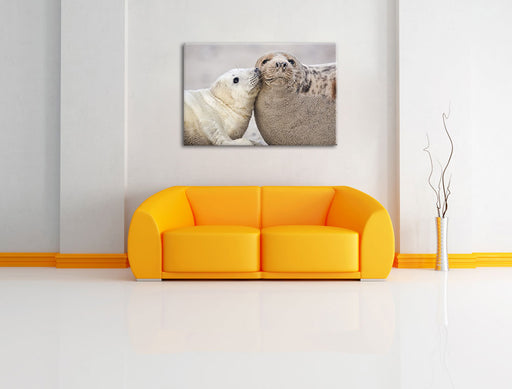 Schmusende Robben Leinwandbild über Sofa