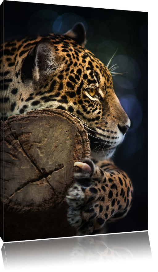 Wunderschöner Leopard Leinwandbild