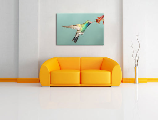 Bunter Kolibri Leinwandbild über Sofa