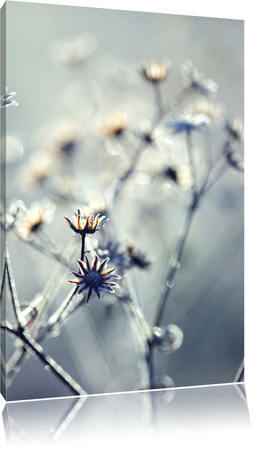 Pflanzen im Frost Leinwandbild