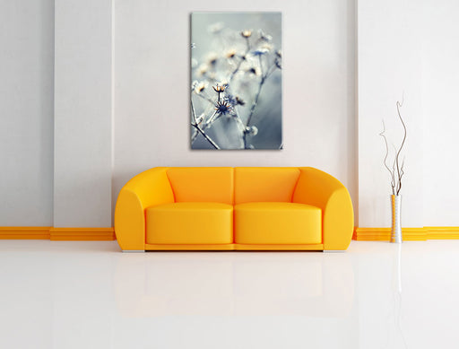 Pflanzen im Frost Leinwandbild über Sofa