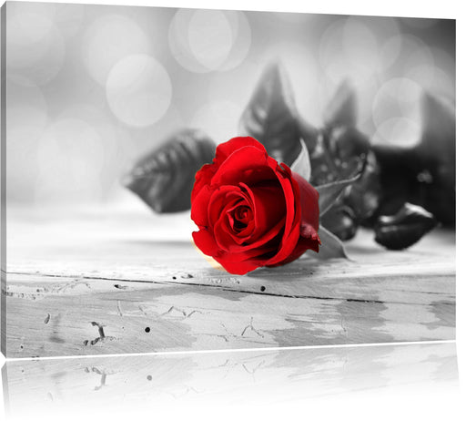 Rote Rose auf Holztisch Leinwandbild