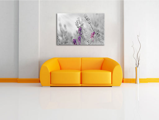 schöner Lavendel Leinwandbild über Sofa
