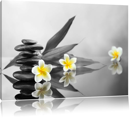 Monoi Blüten Zen Steinturm Leinwandbild