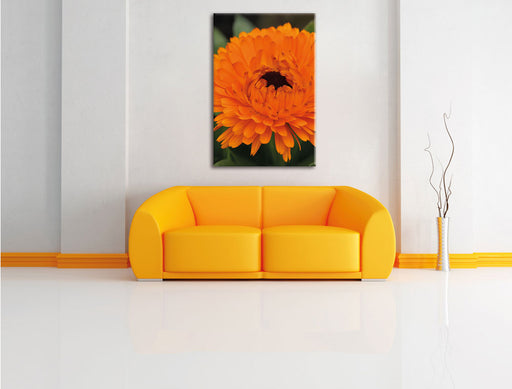 prachtvolle Blüte Leinwandbild über Sofa