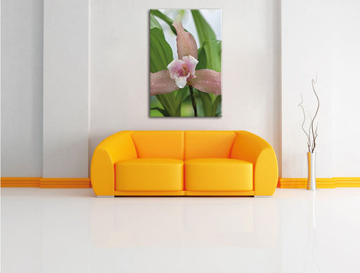 außergewöhnliche Blüte Leinwandbild über Sofa