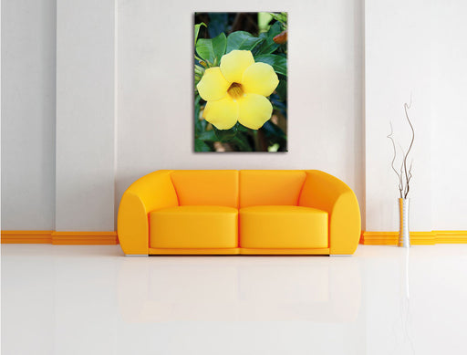 gelbe Blüte Leinwandbild über Sofa
