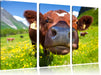 Alpen Kuh auf Bergwiese Leinwandbild 3 Teilig