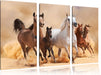 Western Pferde mit Fohlen Leinwandbild 3 Teilig