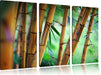 Alter Bambus Wald Leinwandbild 3 Teilig
