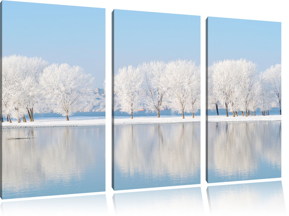 Schneebedeckte Bäume im Winter Leinwandbild 3 Teilig