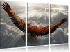 Adler über den Wolken Leinwandbild 3 Teilig