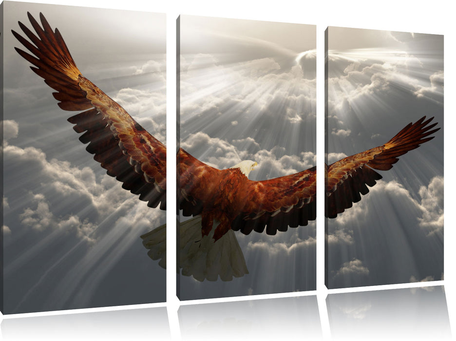 Adler über den Wolken Leinwandbild 3 Teilig
