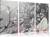 schöne Magnolie Blüten Leinwandbild 3 Teilig