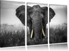 prachtvoller Elefant Leinwandbild 3 Teilig