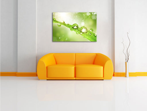 Wassertropfen auf Grashalm Leinwandbild über Sofa