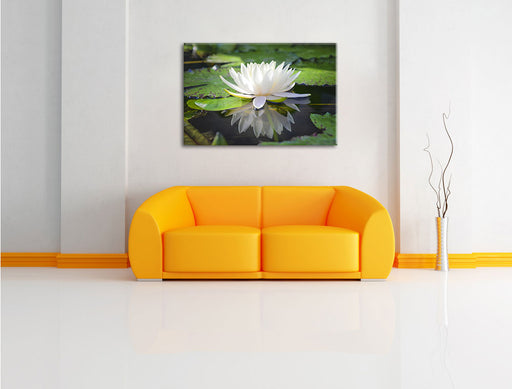 Weiße Lotusblume im Wasser Leinwandbild über Sofa