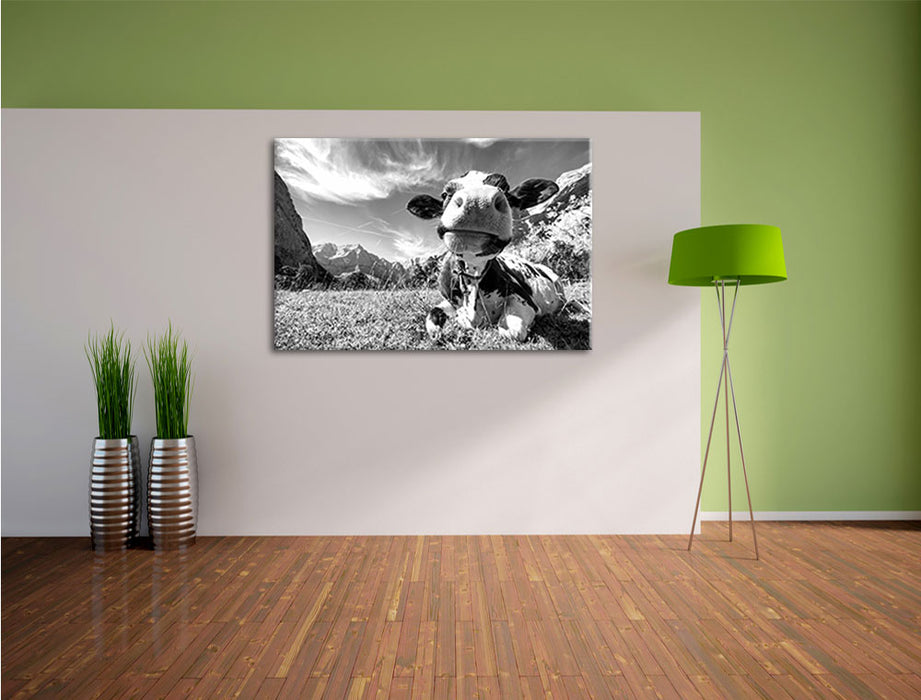 Kuh im Karwendelgebirge Kunst B&W Leinwandbild im Flur