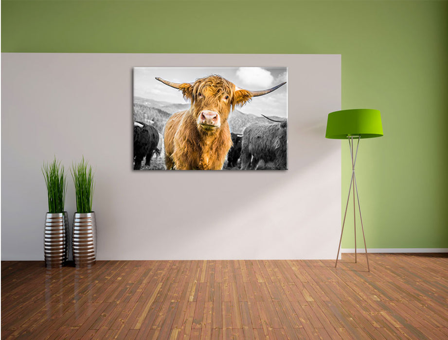 Blick einer Kuh an der Weide B&W Leinwandbild im Flur