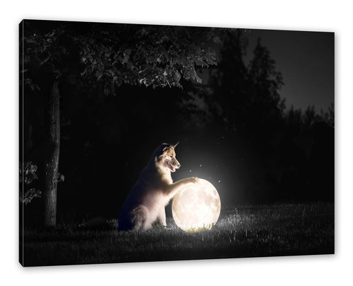 Hund mit leuchtendem Mond bei Nacht B&W Detail Leinwanbild Rechteckig