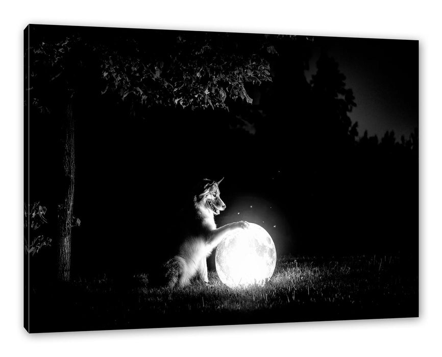 Hund mit leuchtendem Mond bei Nacht, Monochrome Leinwanbild Rechteckig