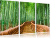 Kyoto Japan Bambuswald Leinwandbild 3 Teilig