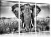 Imposanter Elefant Leinwandbild 3 Teilig