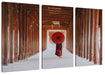 Mönch mit rotem Schirm im Tempelgang Leinwanbild 3Teilig