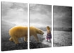 Eisbär im Sommer und Mädchen im Winter B&W Detail Leinwanbild 3Teilig