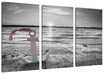 Anker am Ostseestrand im Sonnenuntergang B&W Detail Leinwanbild 3Teilig