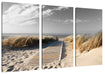 Weg zum Strand durch die Dünen B&W Detail Leinwanbild 3Teilig