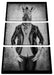 Zebrakopf Menschenkörper mit Lederjacke, Monochrome Leinwanbild 3Teilig
