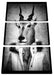 Antilopenkopf mit Menschenkörper, Monochrome Leinwanbild 3Teilig