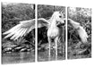 Pegasus im Fluss eines Herbstwaldes, Monochrome Leinwanbild 3Teilig