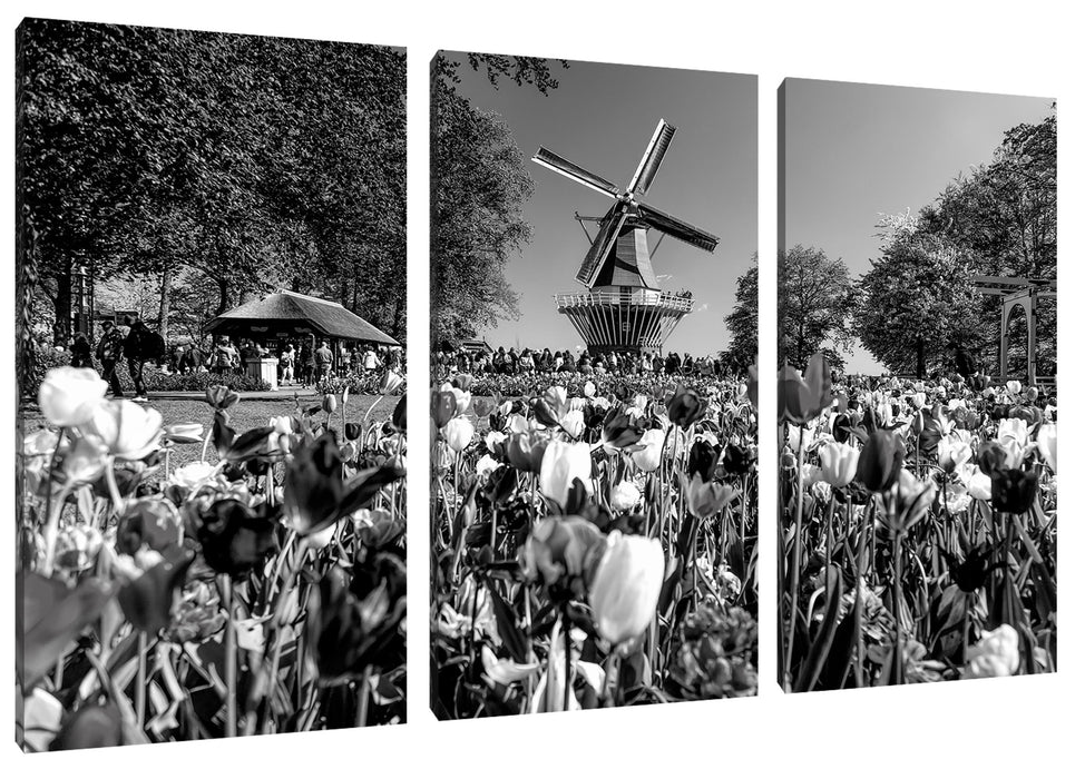 Holländisches Tulpenmeer vor Windmühle, Monochrome Leinwanbild 3Teilig