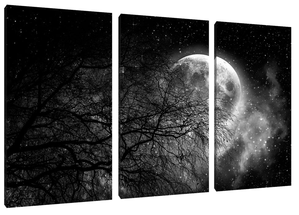 Winterbaum vor Vollmondnacht, Monochrome Leinwanbild 3Teilig