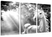Magisches Einhorn im Zauberwald, Monochrome Leinwanbild 3Teilig