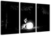 Hund mit leuchtendem Mond bei Nacht, Monochrome Leinwanbild 3Teilig