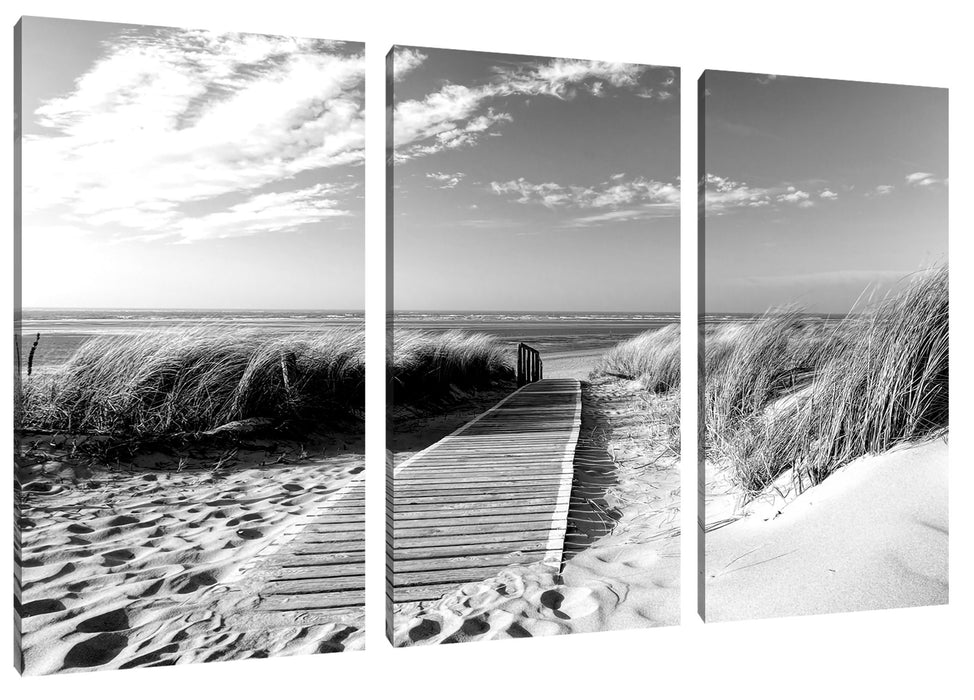 Weg zum Strand durch die Dünen, Monochrome Leinwanbild 3Teilig