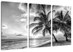 Palmen im Sonnenuntergang auf Barbados, Monochrome Leinwanbild 3Teilig