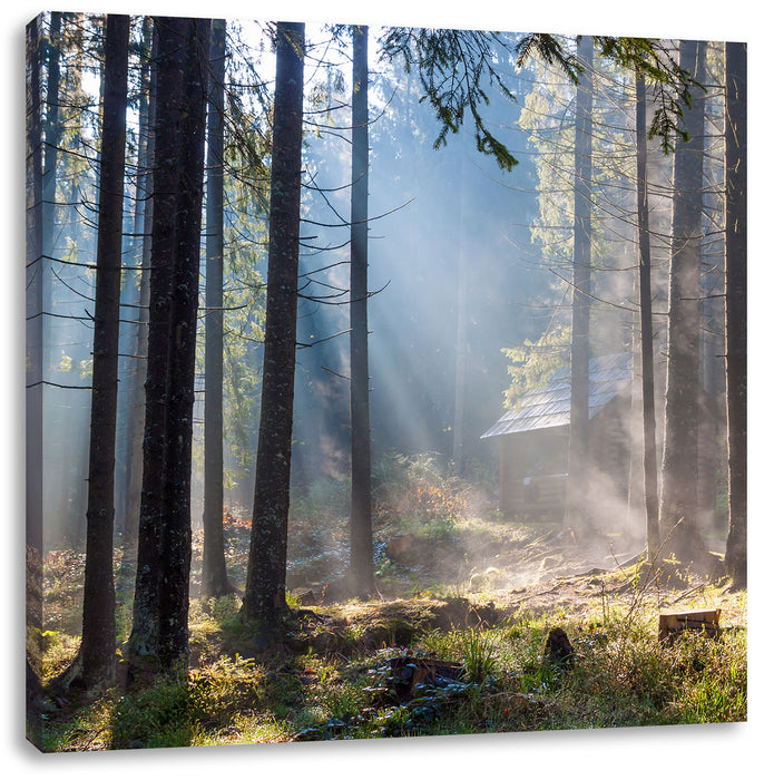 Sonnenstrahlen im Wald Leinwandbild Quadratisch